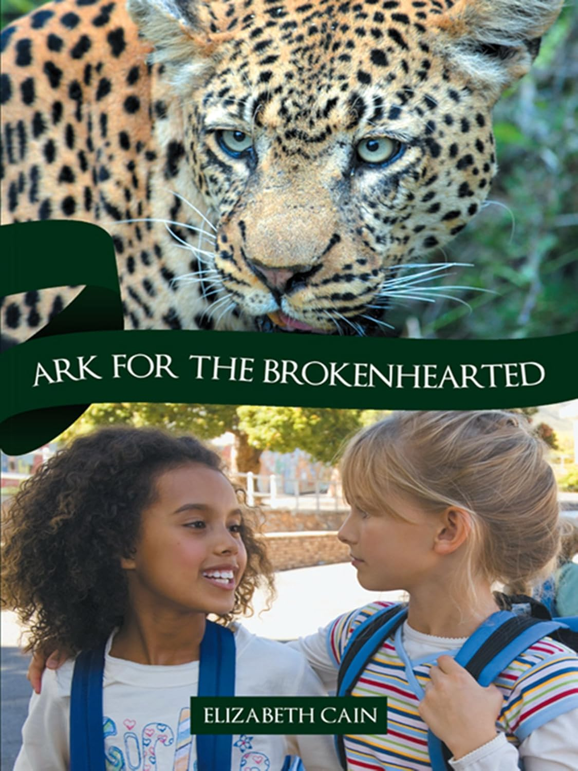 Ark for the Brokenhearted by Elizabeth Cain